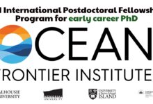 International Postdoctoral Research Fellowship