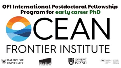 International Postdoctoral Research Fellowship